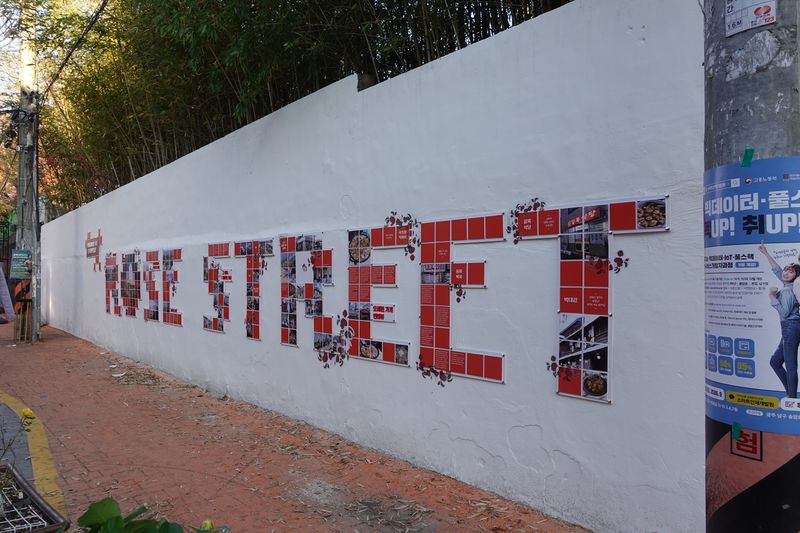 파일:조선대 후문-장미의 거리.JPG