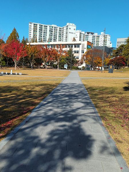 파일:20221105 101255.jpg