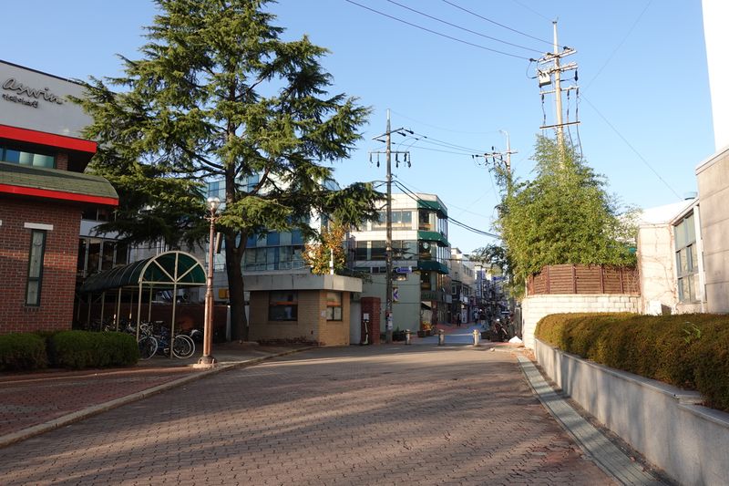 파일:조선대 후문-헌혈의 집 옆.JPG