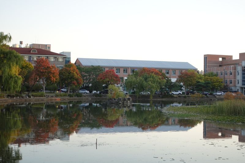 파일:전남대 후문-용지호수.JPG