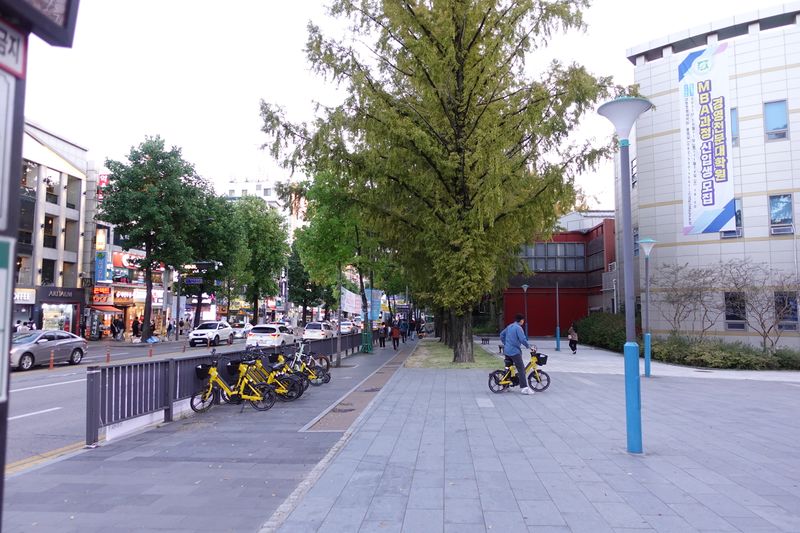 파일:전남대 후문-스포츠센터 방향.JPG