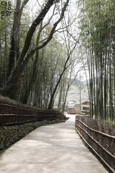 파일:담양 소쇄원-일원-대동문화재단 보유사진.jpg