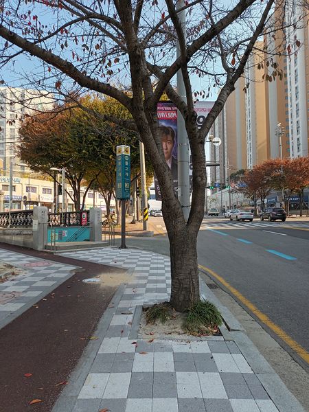 파일:20221109 111525.jpg