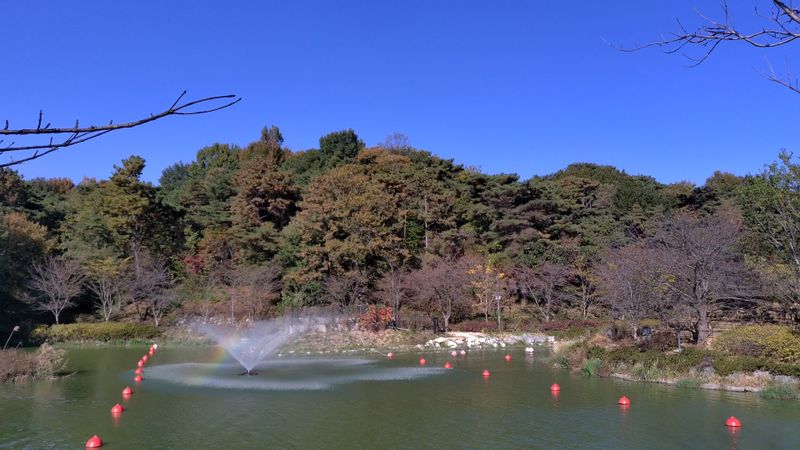 파일:풍암호수공원 분수대.jpg