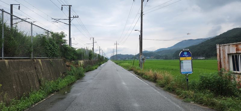 파일:월봉서원 가는 길.jpg