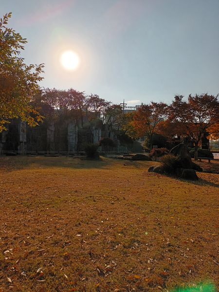 파일:20221104 085616.jpg