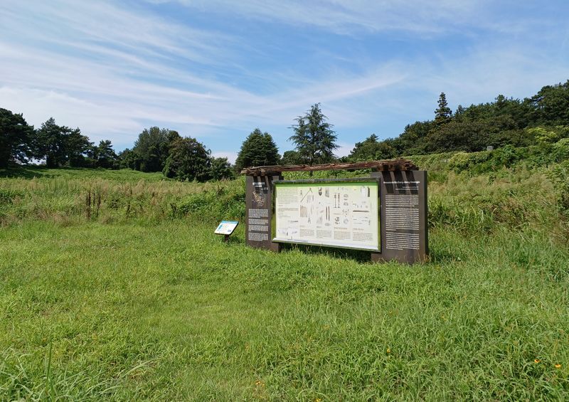 파일:신창동 유적2.jpg