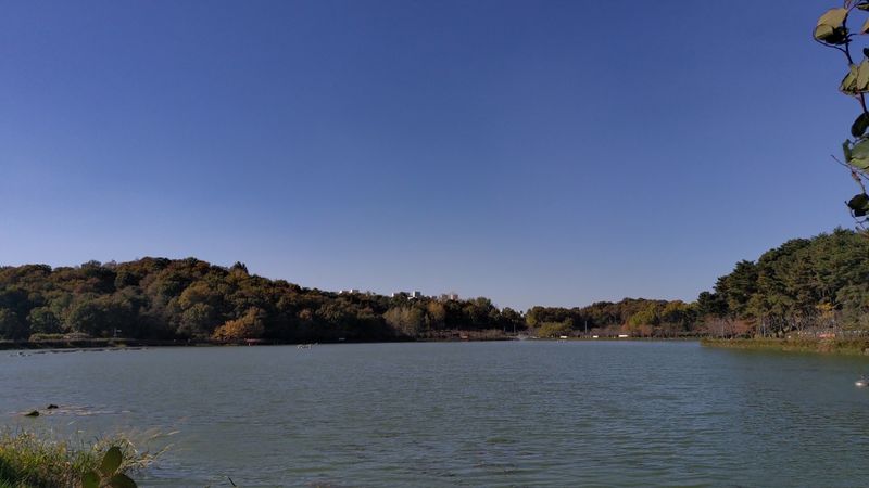 파일:풍암호수공원 전경.jpg