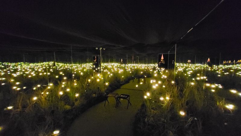 파일:여행자의 집-지퍼포토존.jpeg