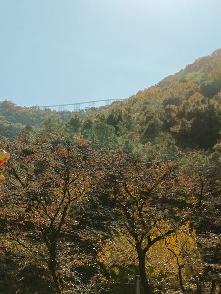 파일:20221105 112316.jpg