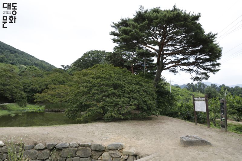 파일:담양 명옥헌 원림-일원1-대동문화재단 보유사진.jpg