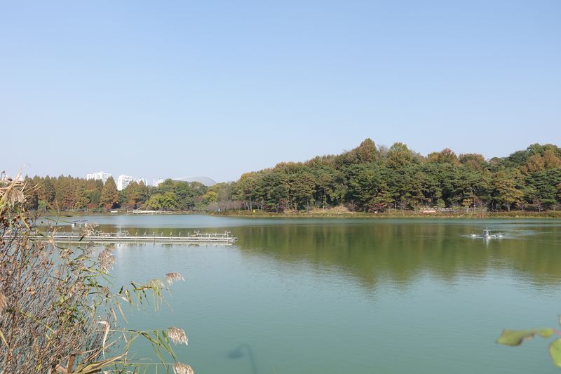 파일:풍암호수공원-풍경.JPG